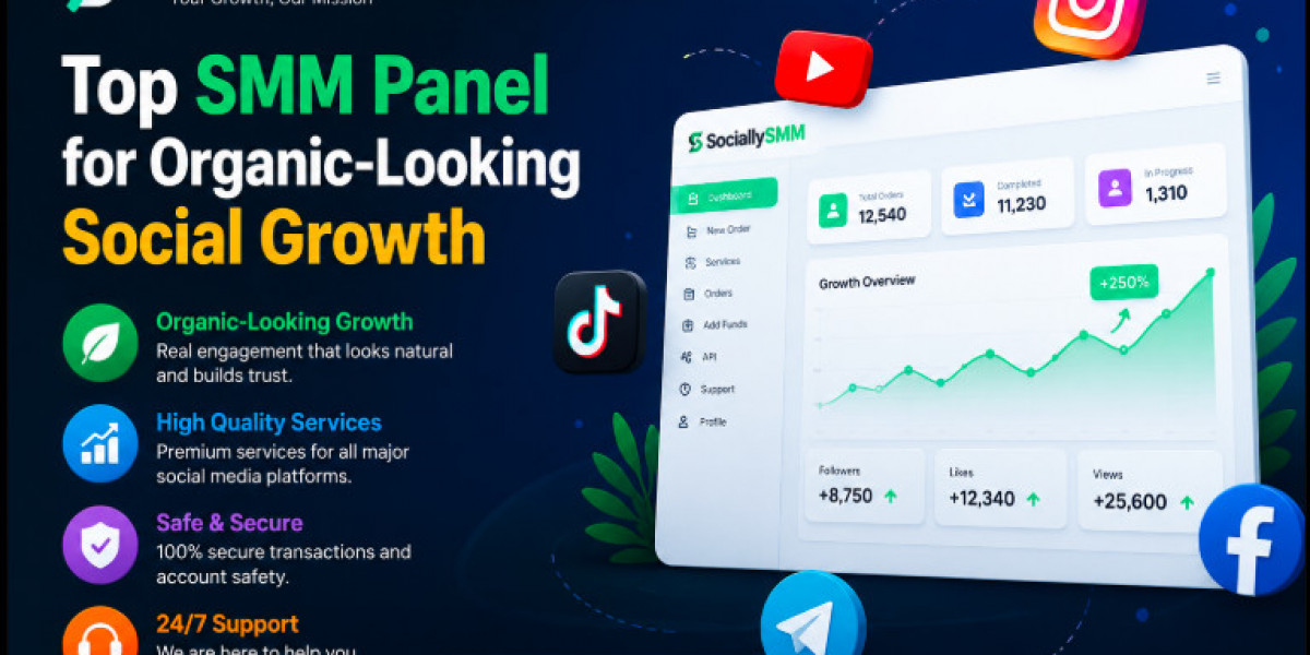 Top SMM Panel for Organic-Looking Social Growth