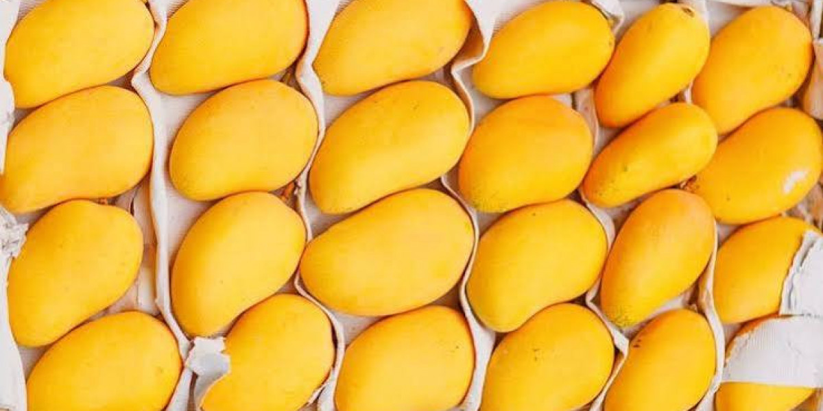 Fresh Mango Price in Pakistan: A Complete Guide for Mango Lovers