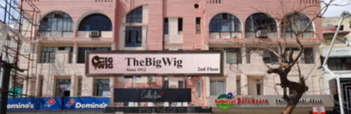 The Big Wig Cover Image