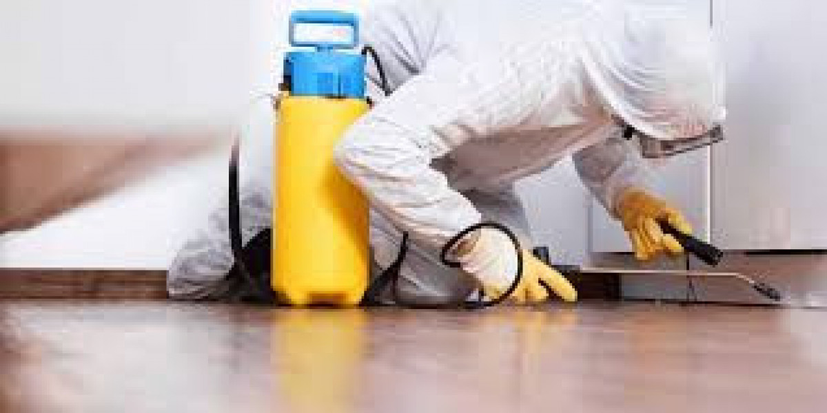 Trusted Termite Control Services in Lahore Delivering Complete Protection for Properties Today