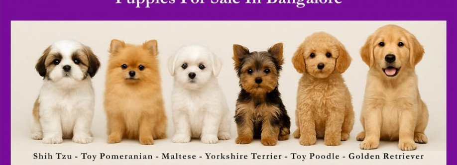 aubree pets Cover Image