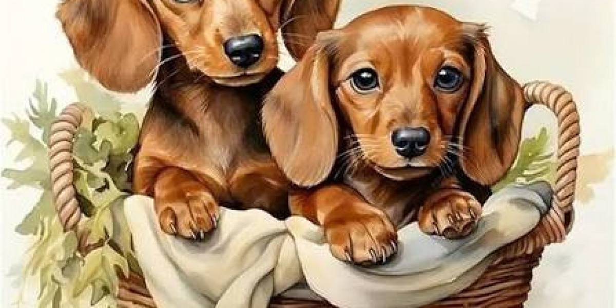Pet Diamond Art Kits for Creative Pet Lovers