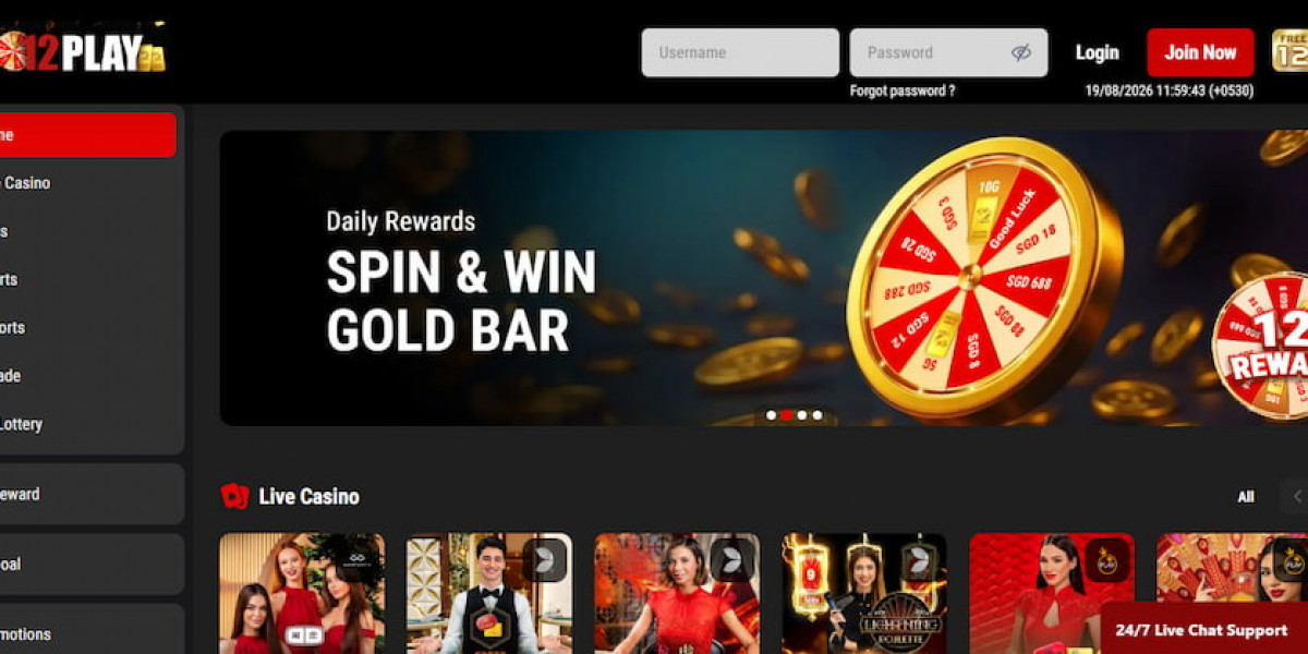Understanding the Modern Online Gaming Experience in Singapore