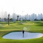 Landscape Company Dubai Profile Picture