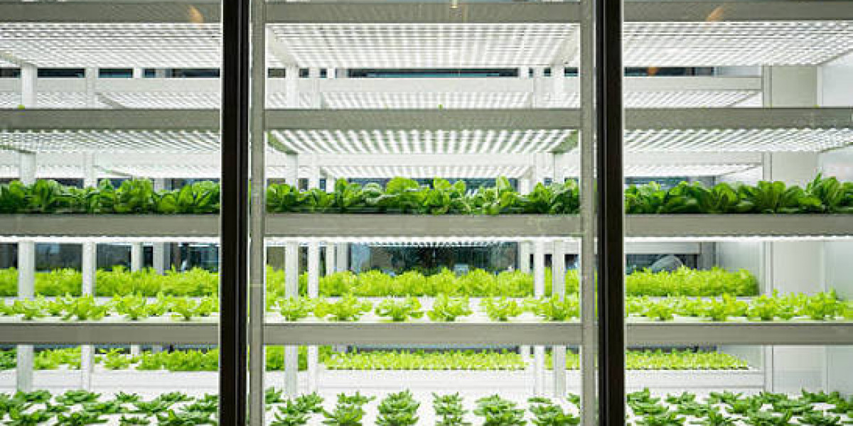 Europe’s Indoor Farming Sector Moves Toward Smarter and More Sustainable Food Production