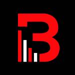 Brandlogg Services Profile Picture